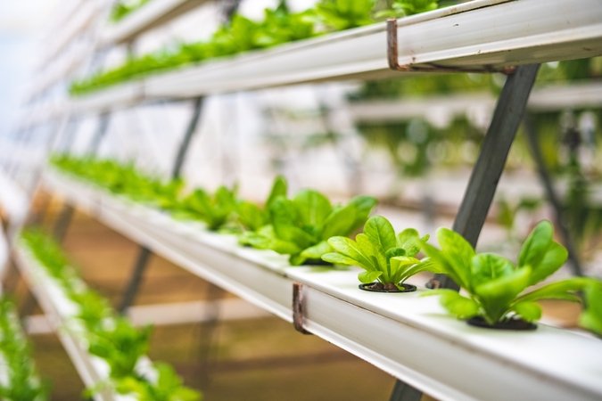 how much nutrients for hydroponics system